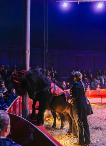 Cirque Gervais la Récré des 3 Curés